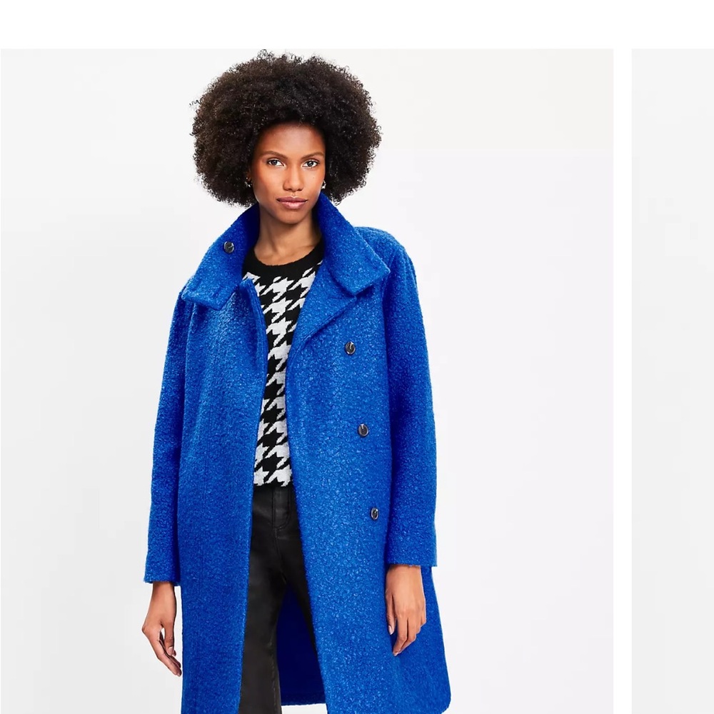 LOFT Royal Blue Teddy Jacket - Picture 13 of 15